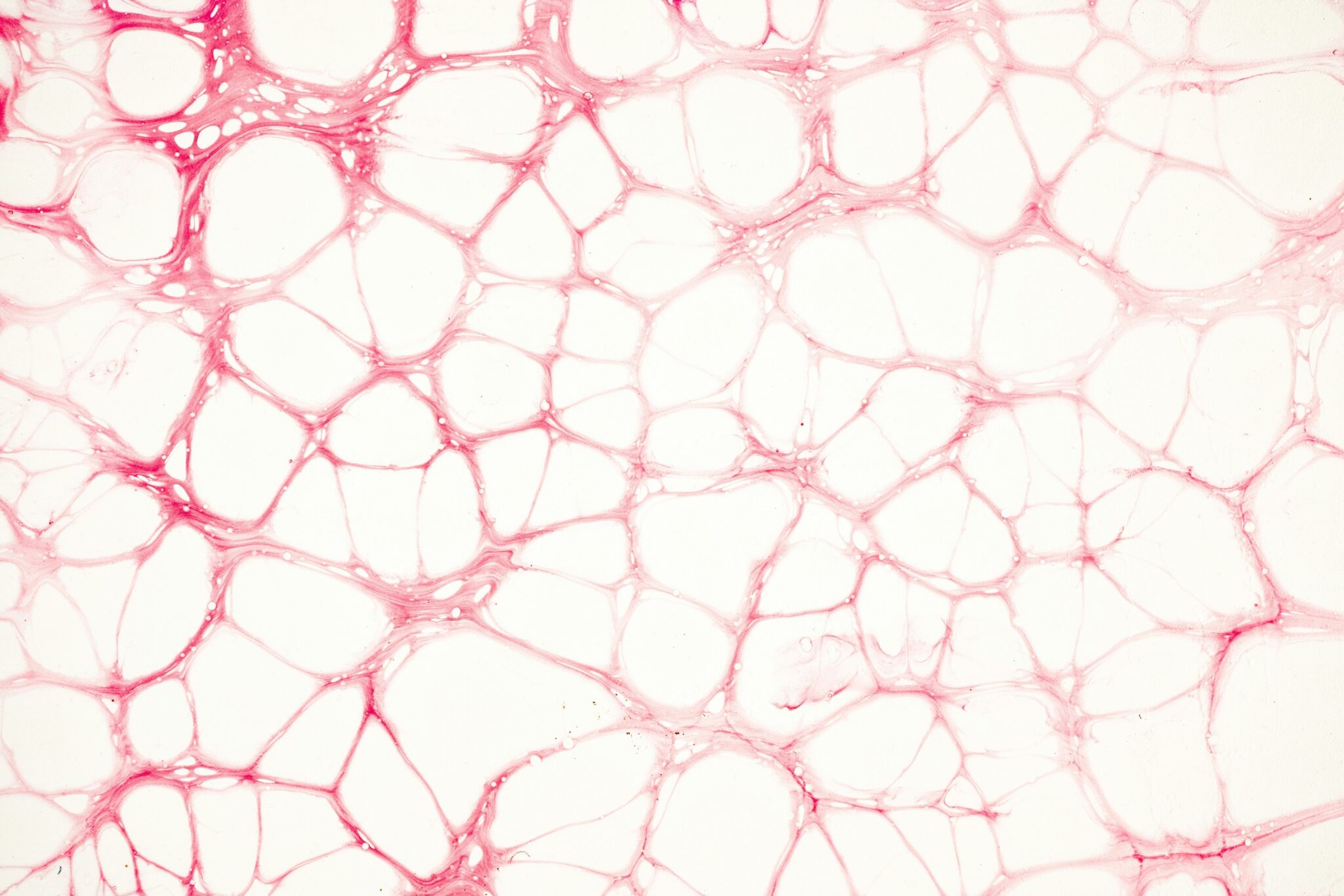 Peptides For Whole Body Wellness